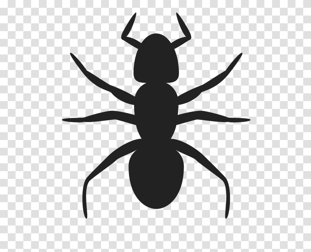 Ant Insect Silhouette Art Drawing, Cross, Invertebrate, Animal Transparent Png
