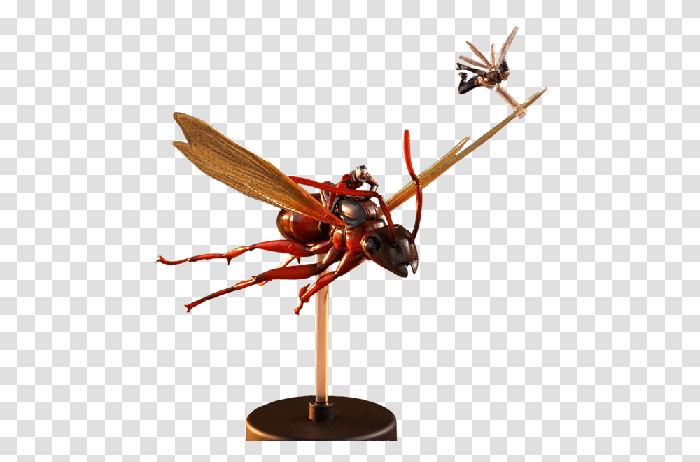 Ant Man And The Wasp, Bee, Insect, Invertebrate, Animal Transparent Png