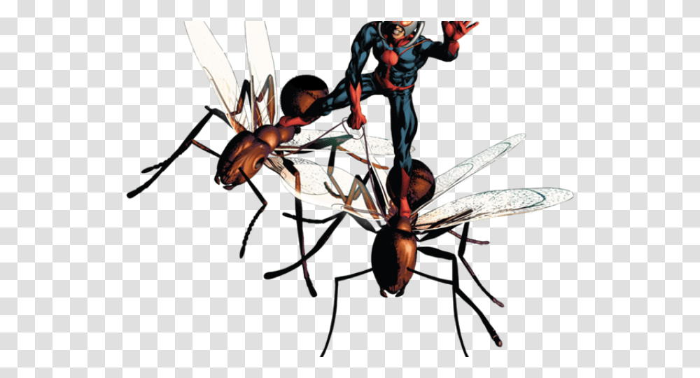 Ant Man Ant Man, Person, Human, Ninja, Insect Transparent Png