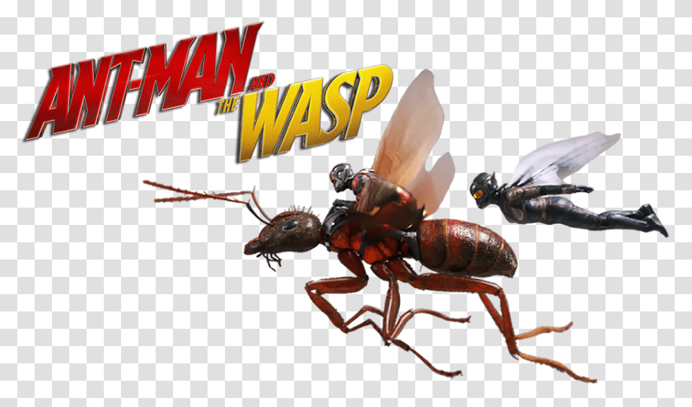 Ant Man Antman And The Wasp Hd, Machine, Animal, Advertisement, Poster Transparent Png