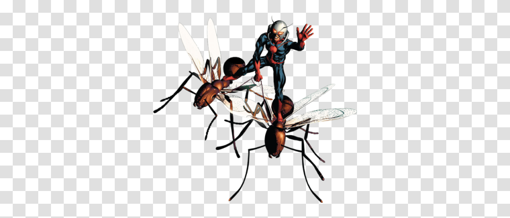 Ant Man Dlpng, Wasp, Bee, Insect, Invertebrate Transparent Png