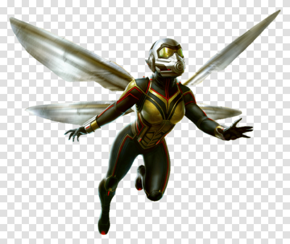 Ant Man Wasp, Bee, Insect, Invertebrate, Animal Transparent Png