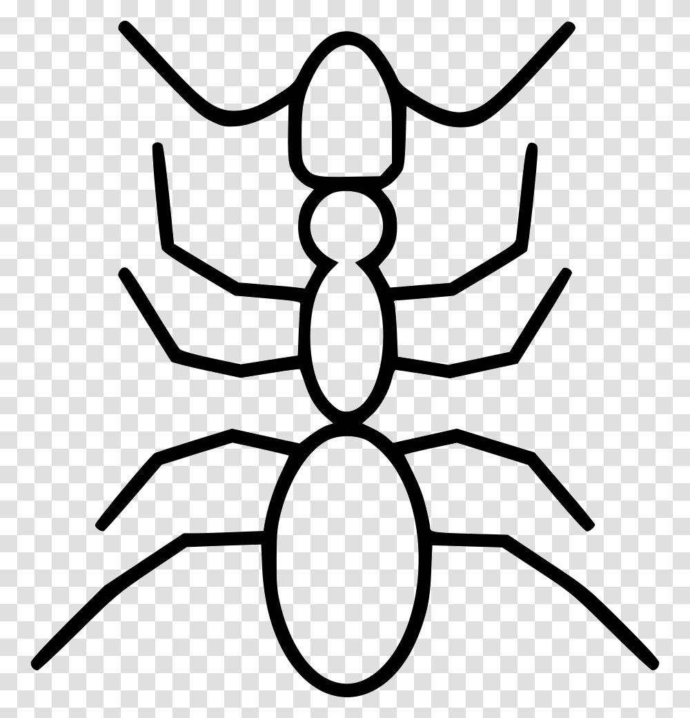 Ant Orb Weaver Spider, Animal, Invertebrate, Insect, Stencil Transparent Png