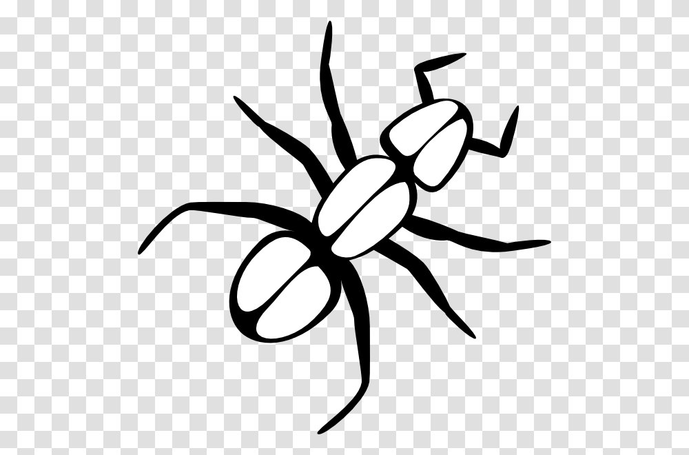 Ant Outline Clip Art, Insect, Invertebrate, Animal, Spider Transparent Png