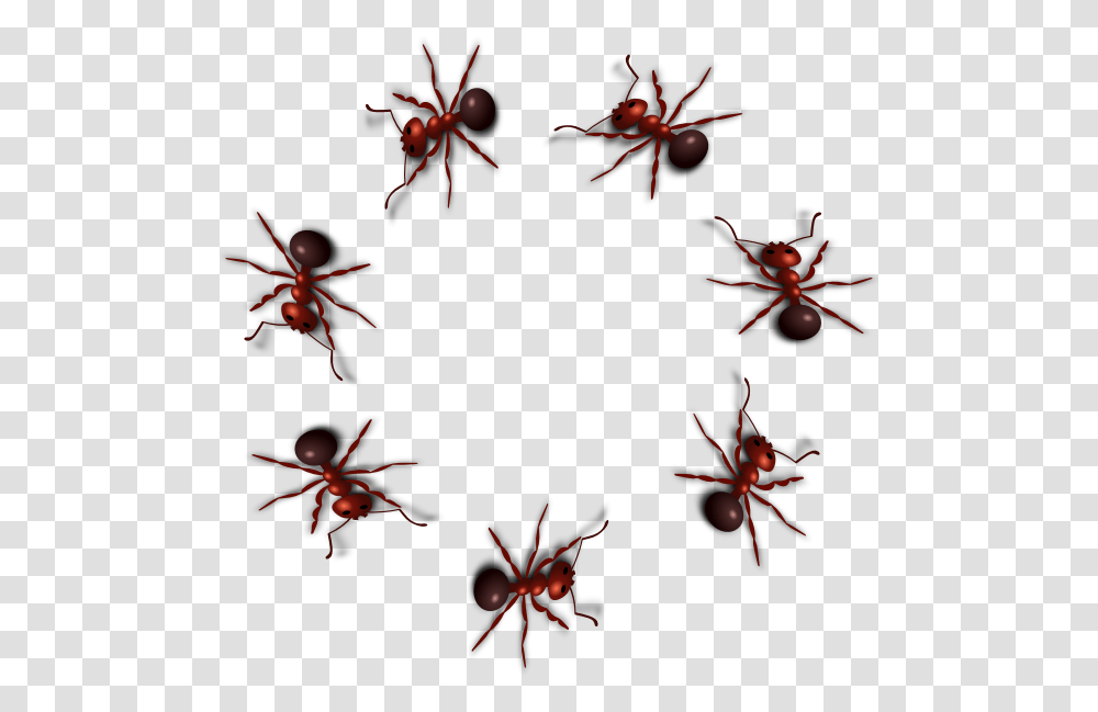 Ant Photo Ant Gif Background, Spice, Plant, Potted Plant, Vase Transparent Png