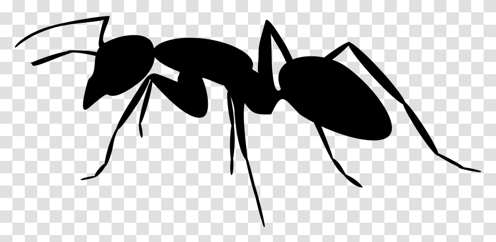 Ant Silhouette Icons, Gray, World Of Warcraft Transparent Png