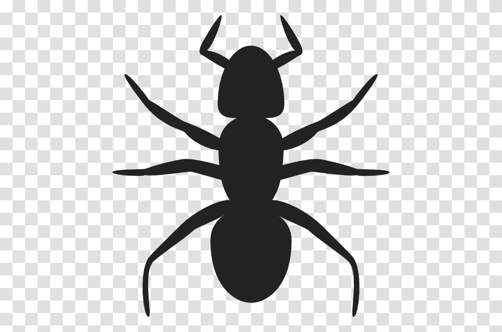 Ant Svg Clip Arts Ant Clip Art, Invertebrate, Animal, Insect Transparent Png