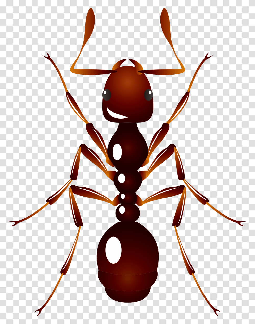 Ant U6606u866b U8682u8681 Insect Ant, Invertebrate, Animal, Lamp Transparent Png