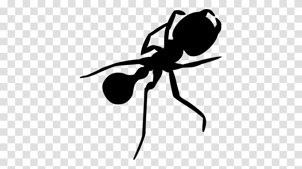 Ant With Long Legs Silhouette Vector Graphics, Gray, World Of Warcraft Transparent Png
