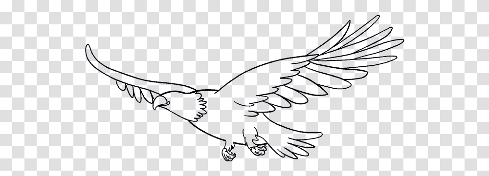 Antarctica Drawing Bird Draw A Flying Eagle, Animal, Sea Life, Mammal, Fractal Transparent Png