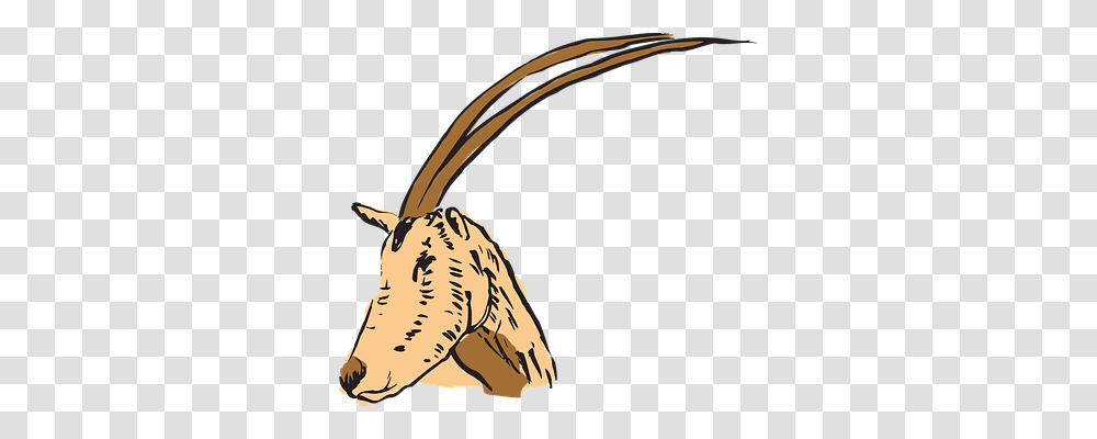 Antelope Nature, Animal, Mammal, Wildlife Transparent Png