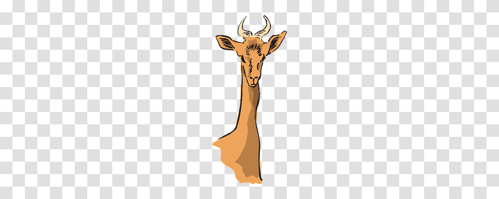 Antelope Nature, Animal, Mammal Transparent Png