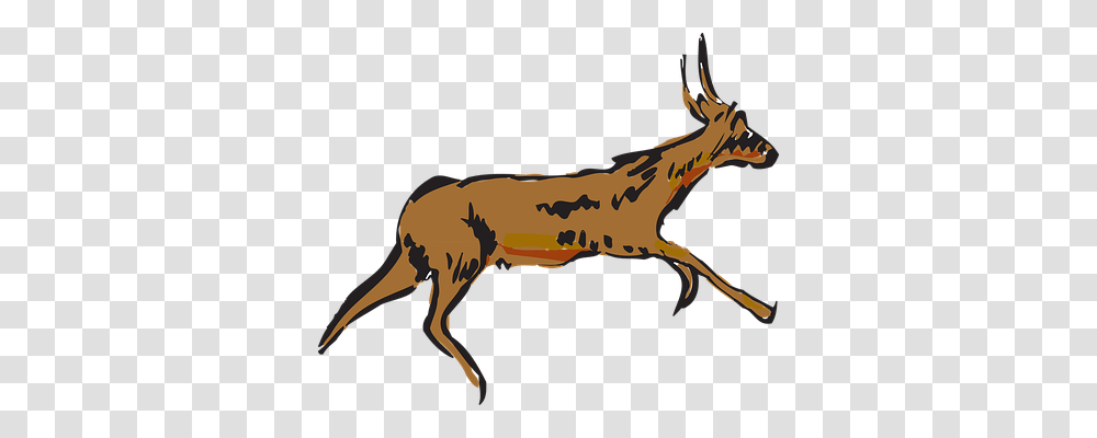 Antelope Nature, Wildlife, Animal, Deer Transparent Png