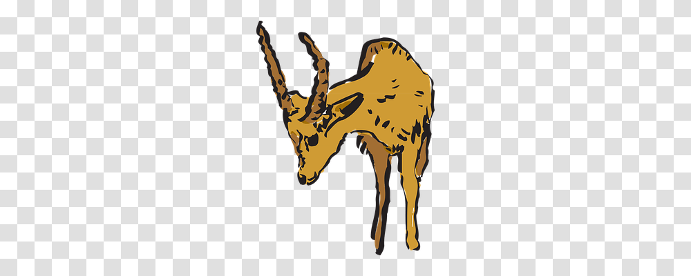 Antelope Nature, Animal, Wildlife, Mammal Transparent Png