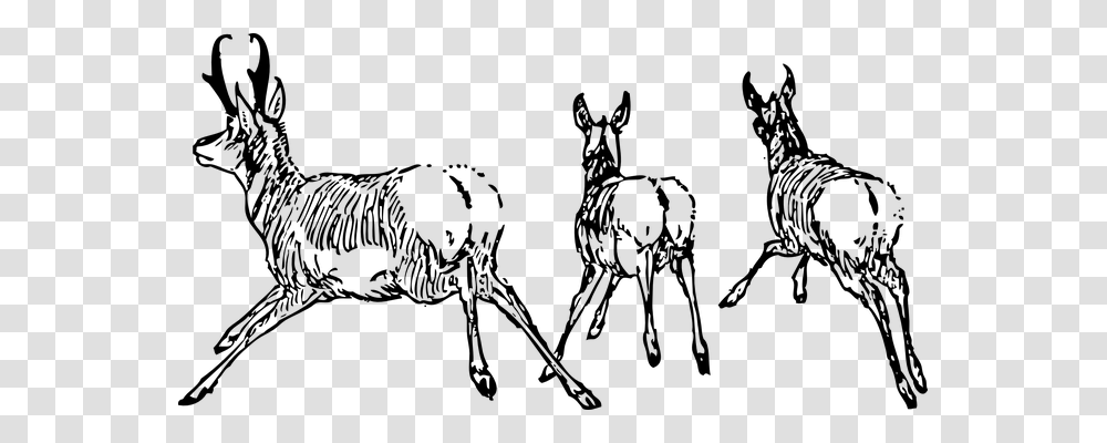 Antelope Emotion, Gray, World Of Warcraft Transparent Png