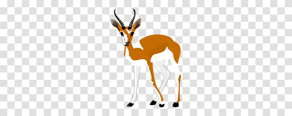 Antelope Animals, Wildlife, Mammal, Gazelle Transparent Png