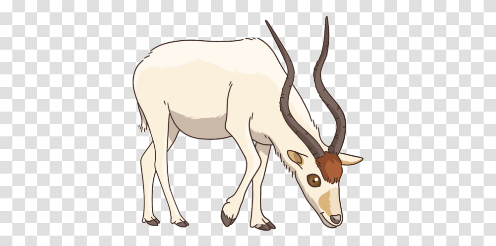 Antelope Addax Sticker Antelope Addax Discover & Share Gifs Reindeer, Wildlife, Mammal, Animal, Gazelle Transparent Png