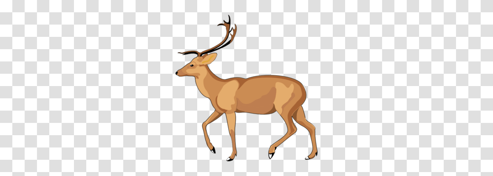 Antelope Clip Art, Wildlife, Mammal, Animal, Deer Transparent Png