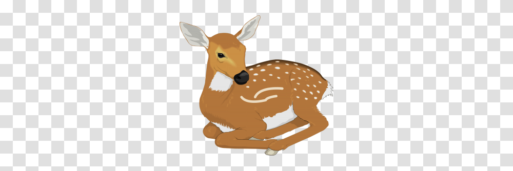 Antelope Clipart, Deer, Wildlife, Mammal, Animal Transparent Png