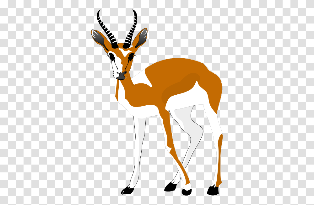 Antelope Clipart, Wildlife, Mammal, Animal, Gazelle Transparent Png