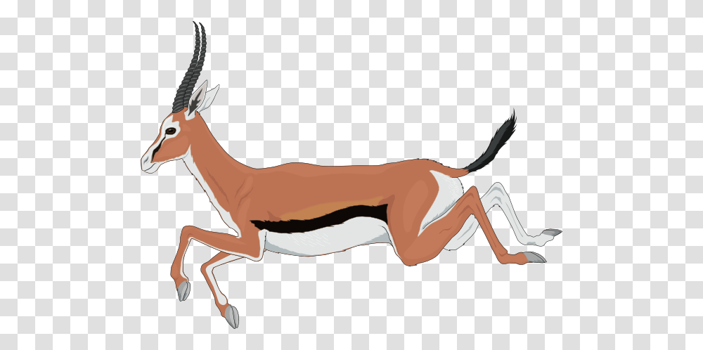 Antelope Cliparts, Gazelle, Wildlife, Mammal, Animal Transparent Png