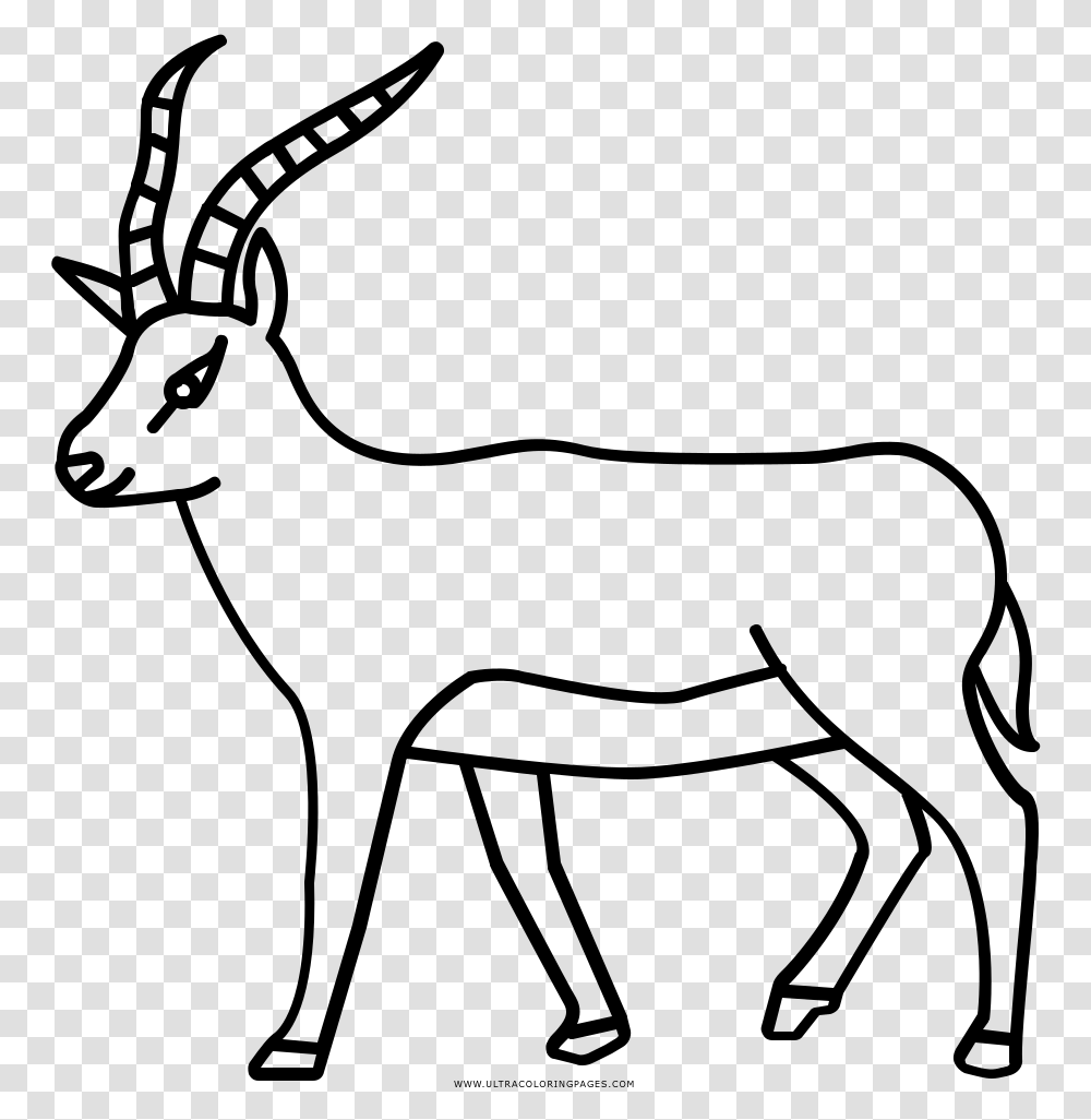 Antelope Coloring, Gray, World Of Warcraft Transparent Png