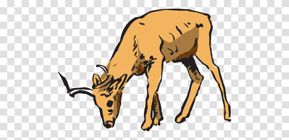 Antelope Eating Animal Clip Art, Mammal, Wildlife, Cow, Cattle Transparent Png