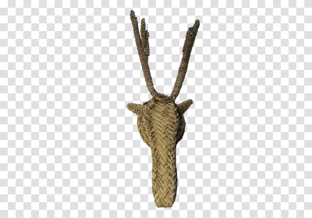 Antelope, Insect, Invertebrate, Animal, Mammal Transparent Png