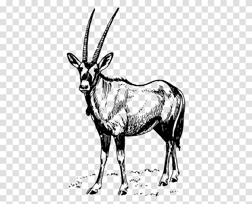 Antelopemonochrome Photographydeer Oryx Clipart, Gray, World Of Warcraft Transparent Png