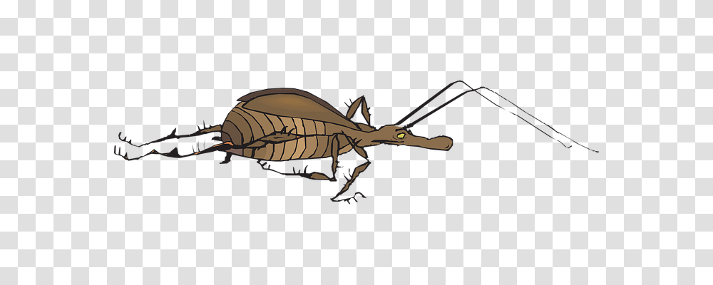 Antenna Animals, Helicopter, Aircraft, Vehicle Transparent Png