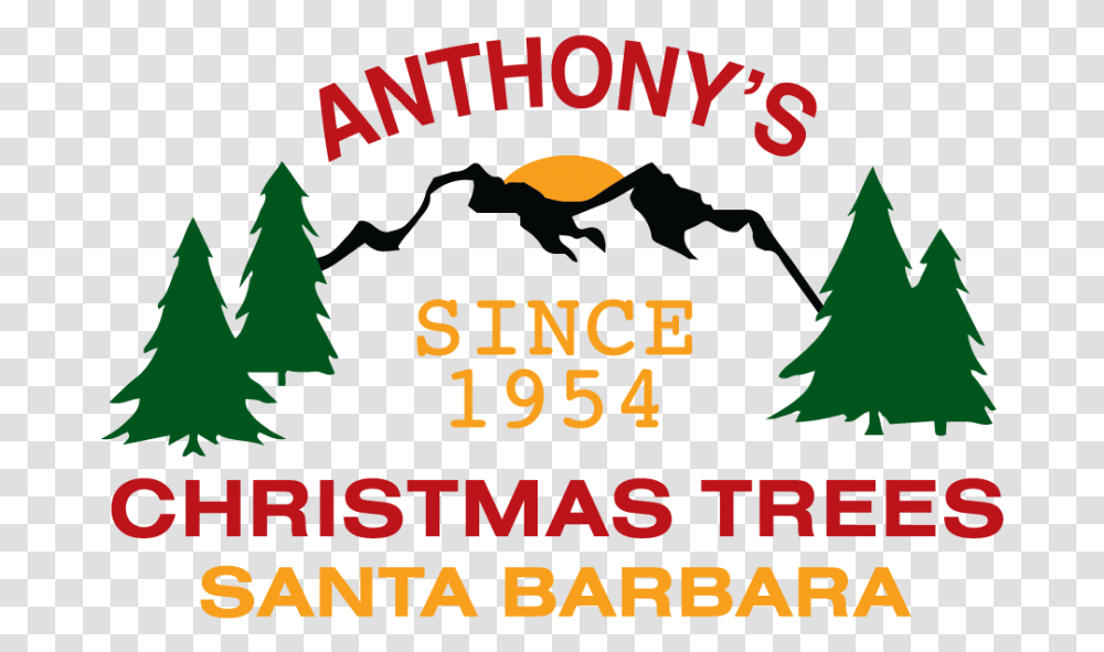 Anthony S Christmas Trees Logo, Poster, Advertisement, Flyer, Paper Transparent Png