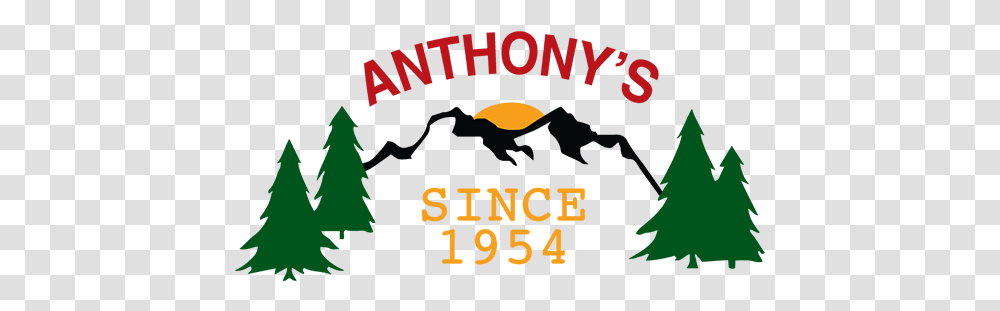 Anthonys Christmas Trees Christmas Tree, Poster, Advertisement, Word, Text Transparent Png