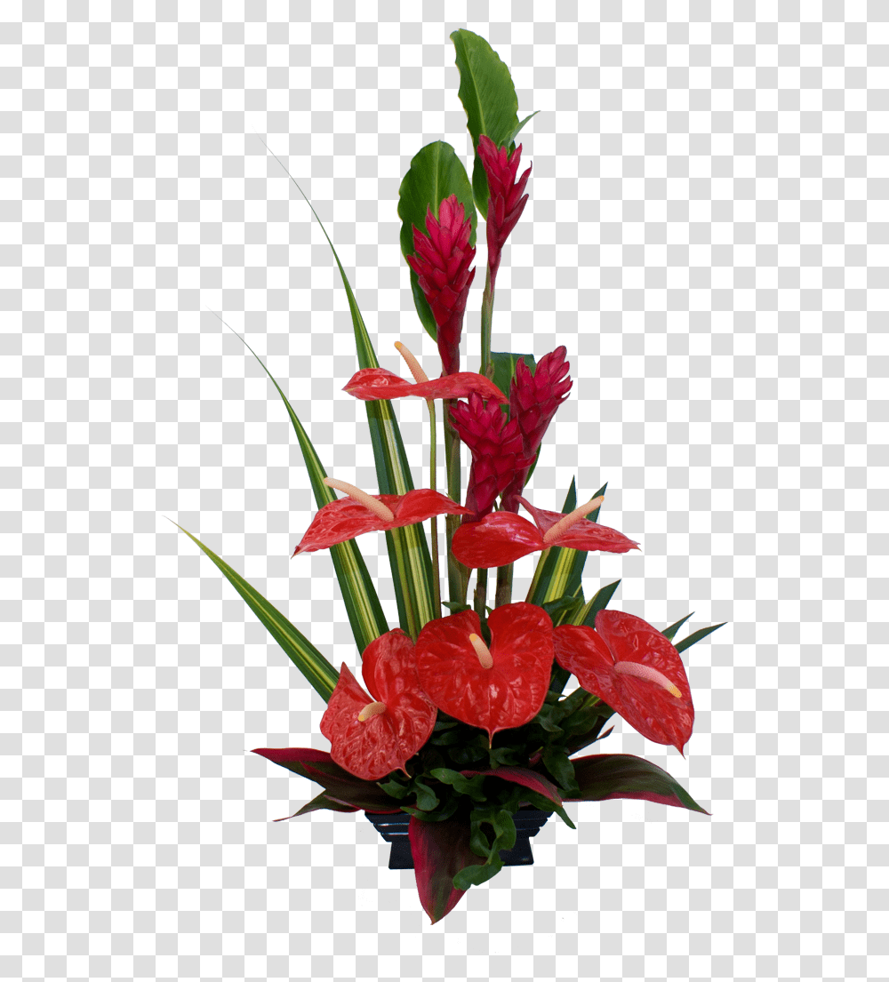 Anthurium Flower Arrangement Ideas, Plant, Blossom, Vase, Jar Transparent Png