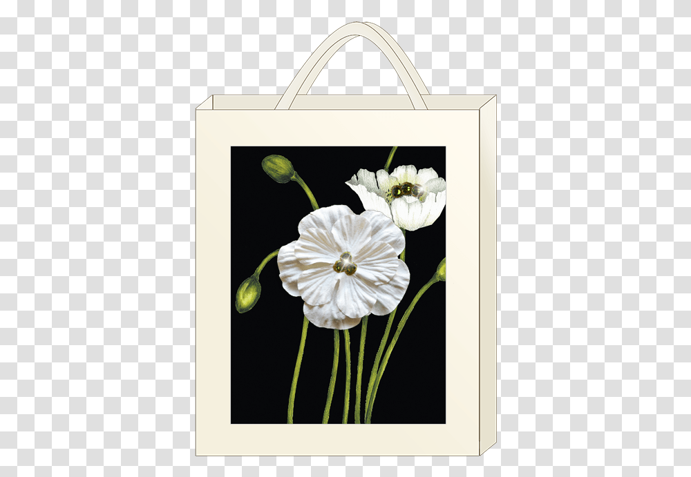 Anthurium, Plant, Flower, Blossom, Bag Transparent Png