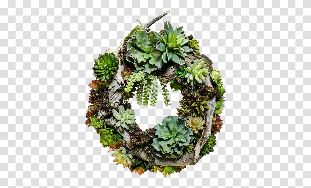 Anthurium, Wreath Transparent Png