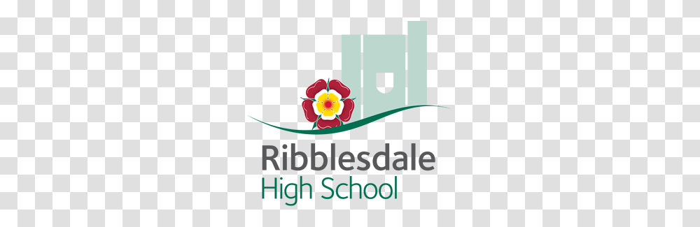 Anti Bullying Week Ribblesdale High School, Floral Design, Pattern Transparent Png