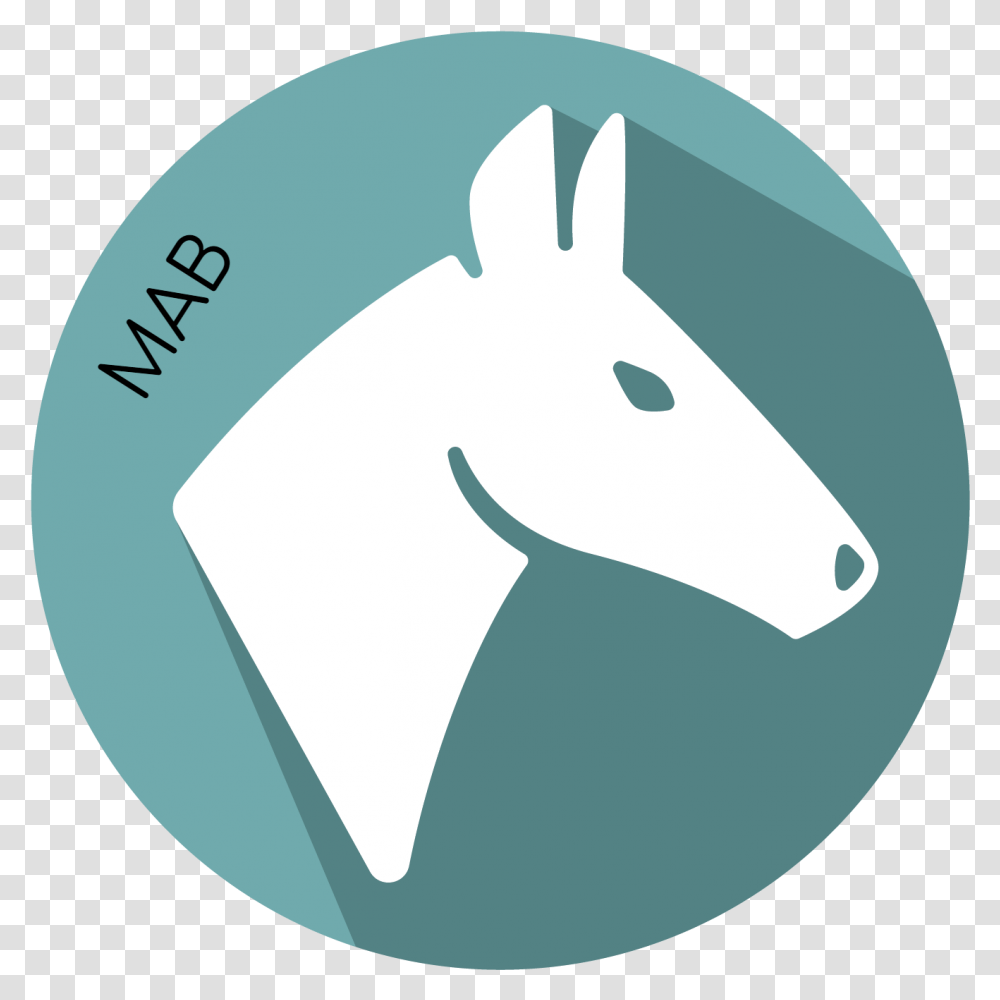 Anti Equine Igm Ingezim Ahsv Compact Plus, Label, Text, Mammal, Animal Transparent Png