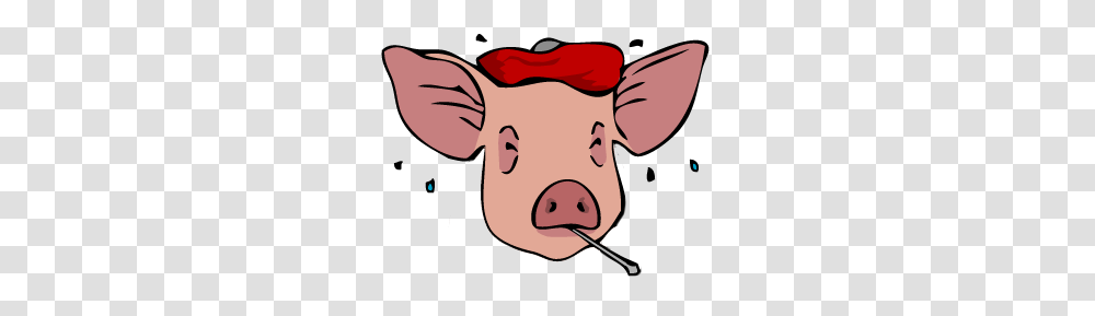 Antibiotics Used, Pig, Mammal, Animal, Hog Transparent Png