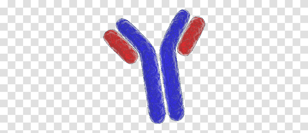 Antibodies Bio Techne Dot, Clothing, Apparel, Purple, Light Transparent Png