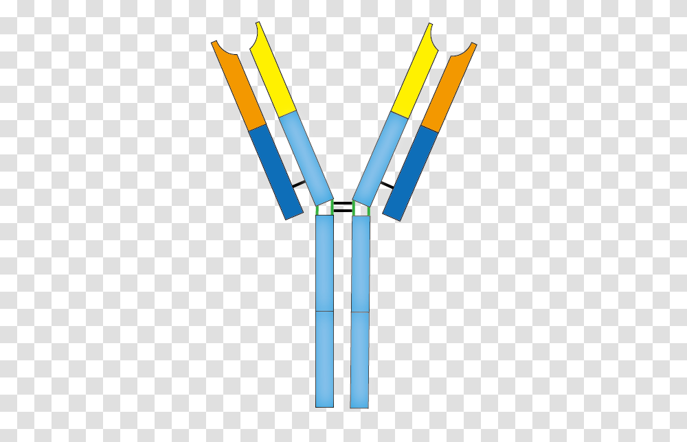 Antibody Clipart Antibody, Suspenders, Scissors, Blade, Weapon Transparent Png