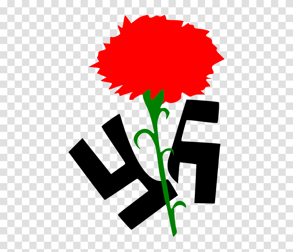 Antifascist Carnation, Tool, Plant, Flower, Blossom Transparent Png