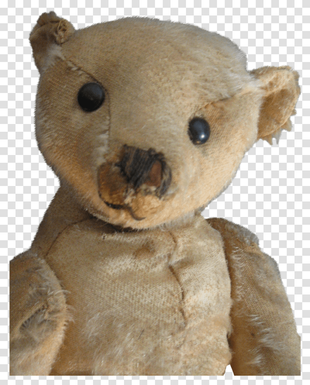 Antique 16 Beige Steiff Bear Animal Figure Transparent Png