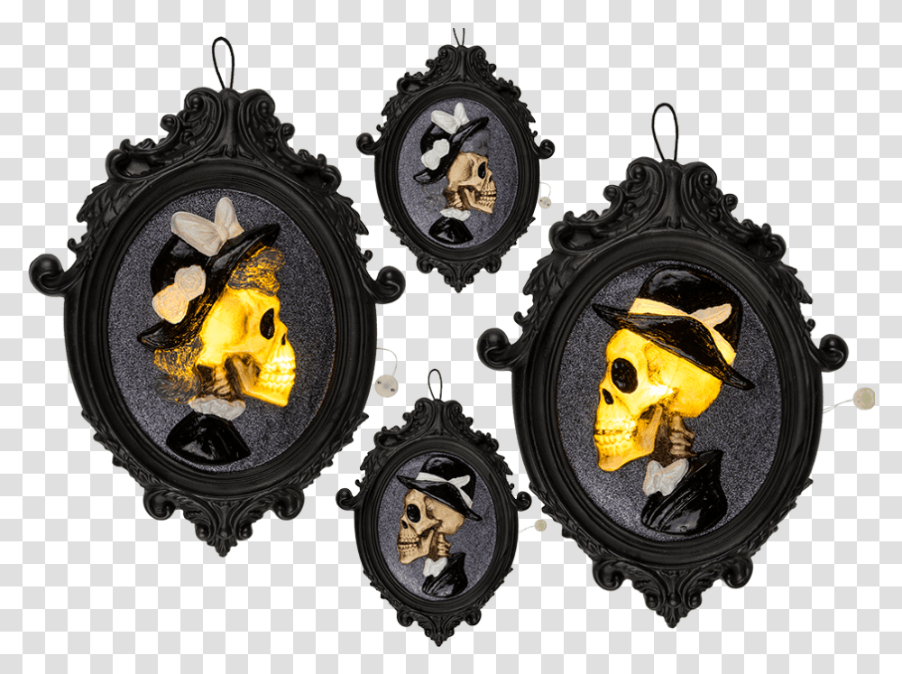 Antique, Cat, Animal, Binoculars, Goggles Transparent Png