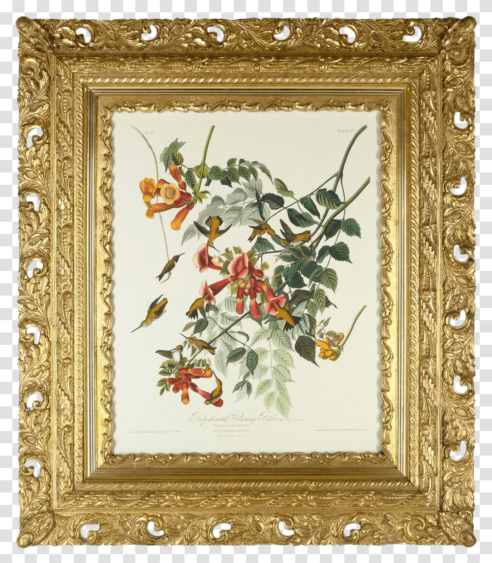 Antique Frame With Audubon Hummingbird Giclee Humming Trochilus, Art, Painting, Floral Design, Pattern Transparent Png