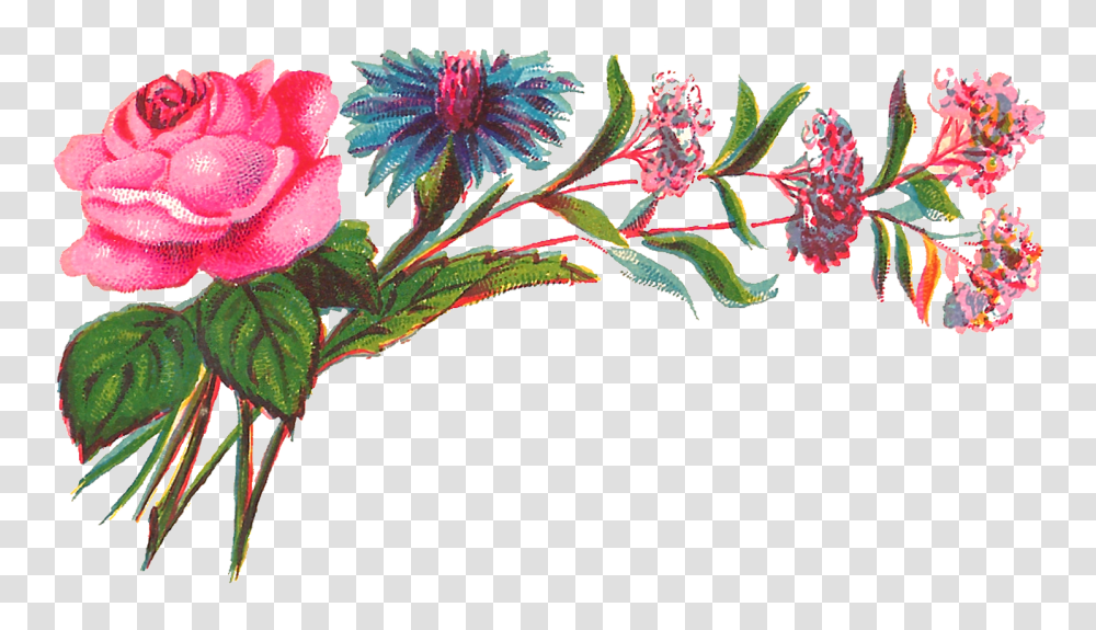Antique Images Digital Decorative Flower Corner Download Rose, Plant, Floral Design, Pattern Transparent Png