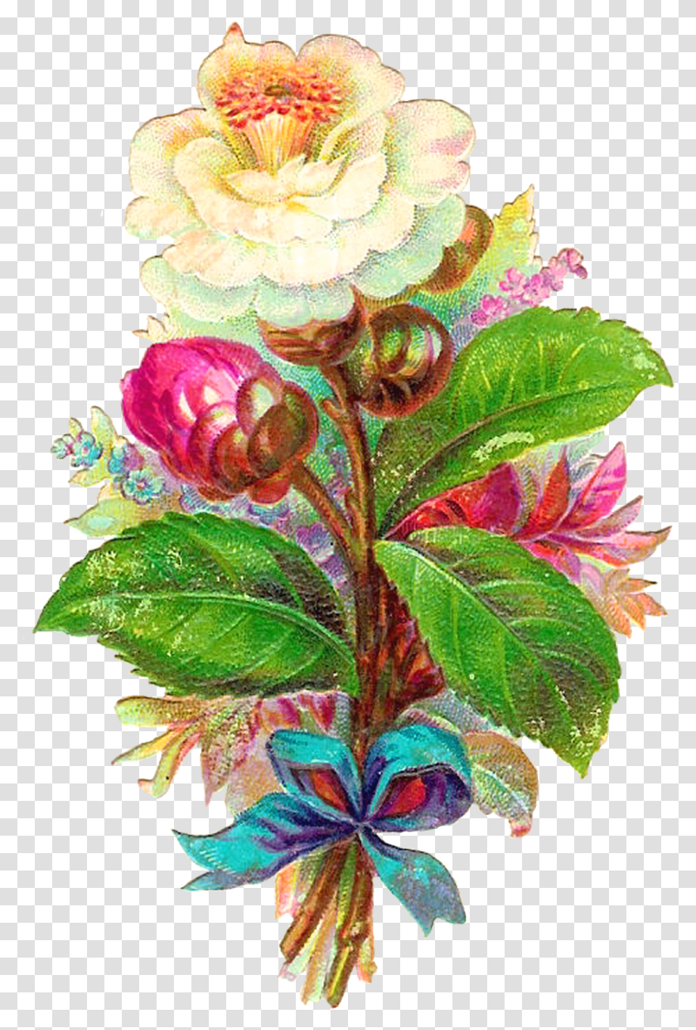 Antique Images Digital Flower White Camellia Vintage Clip Art, Plant, Geranium, Flower Arrangement, Flower Bouquet Transparent Png