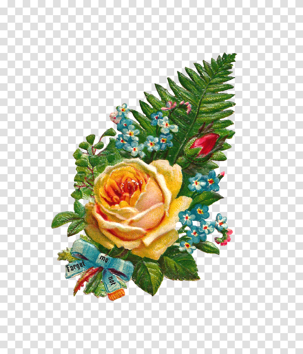 Antique Images Free Digital Flower Clip Art Yellow Rose, Pattern, Plant, Ornament, Blossom Transparent Png