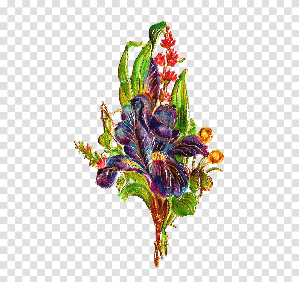 Antique Images Free Flower Graphic Wild Digital Iris, Plant, Blossom, Graphics, Art Transparent Png