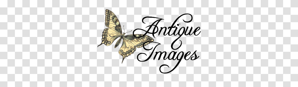 Antique Images Insect Clip Art Black And White Illustration, Butterfly, Invertebrate, Animal, Moth Transparent Png