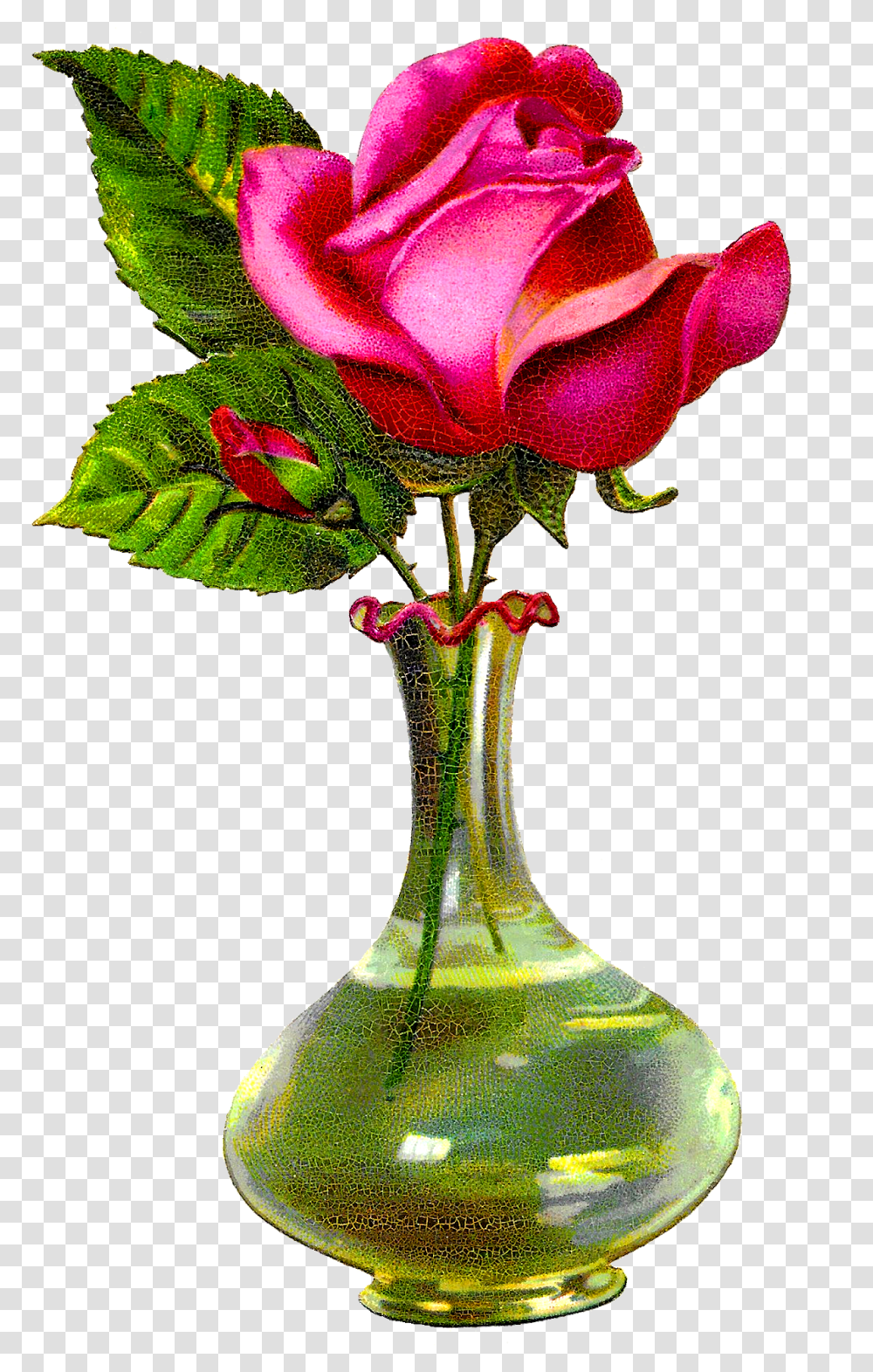 Antique Images Pink Rose Rose Flower With Vase, Plant, Jar, Pottery, Blossom Transparent Png
